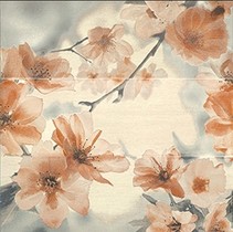 Newker Smile Aquarelle Beige (3шт)